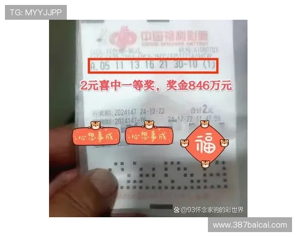 第三十一期开奖结果正式公布，幸运号码揭晓